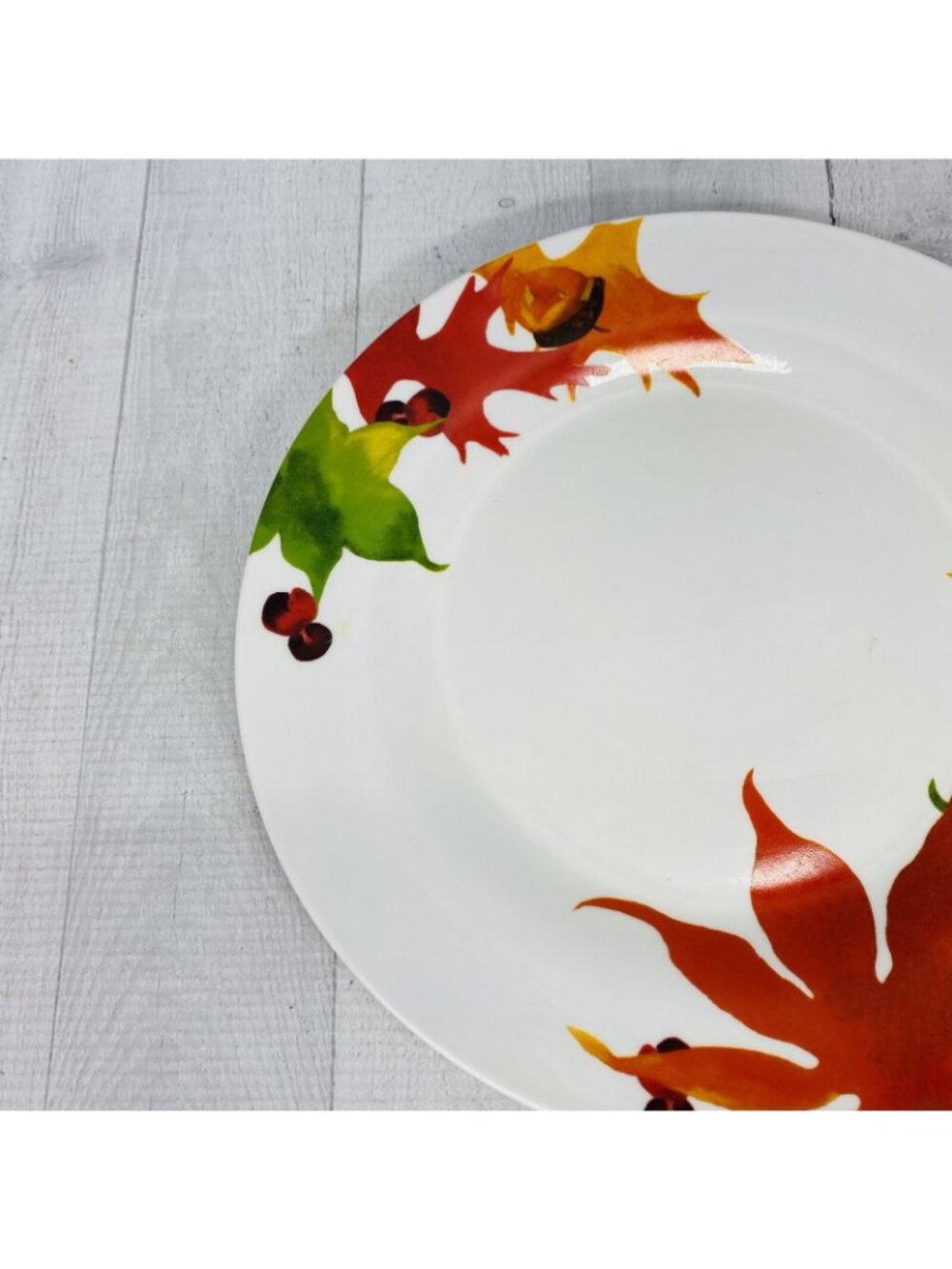 Royal Norfolk RNF132 Colorful Autumn Leaves Stoneware Round Dinner Plates Set 3 - Picture 11 of 13